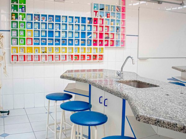 Colégio Miranda Pirituba - Matrículas 2026